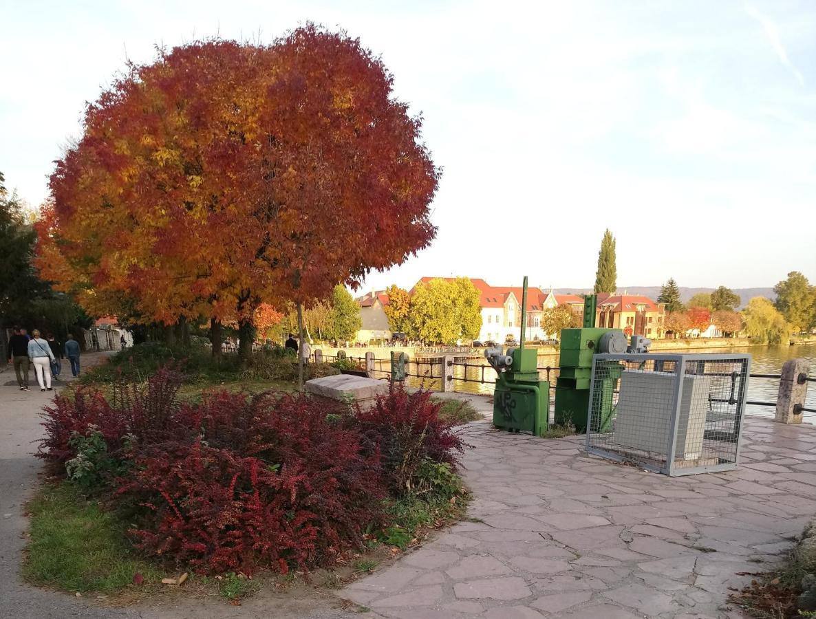 Panzio Tata Bed & Breakfast Dış mekan fotoğraf