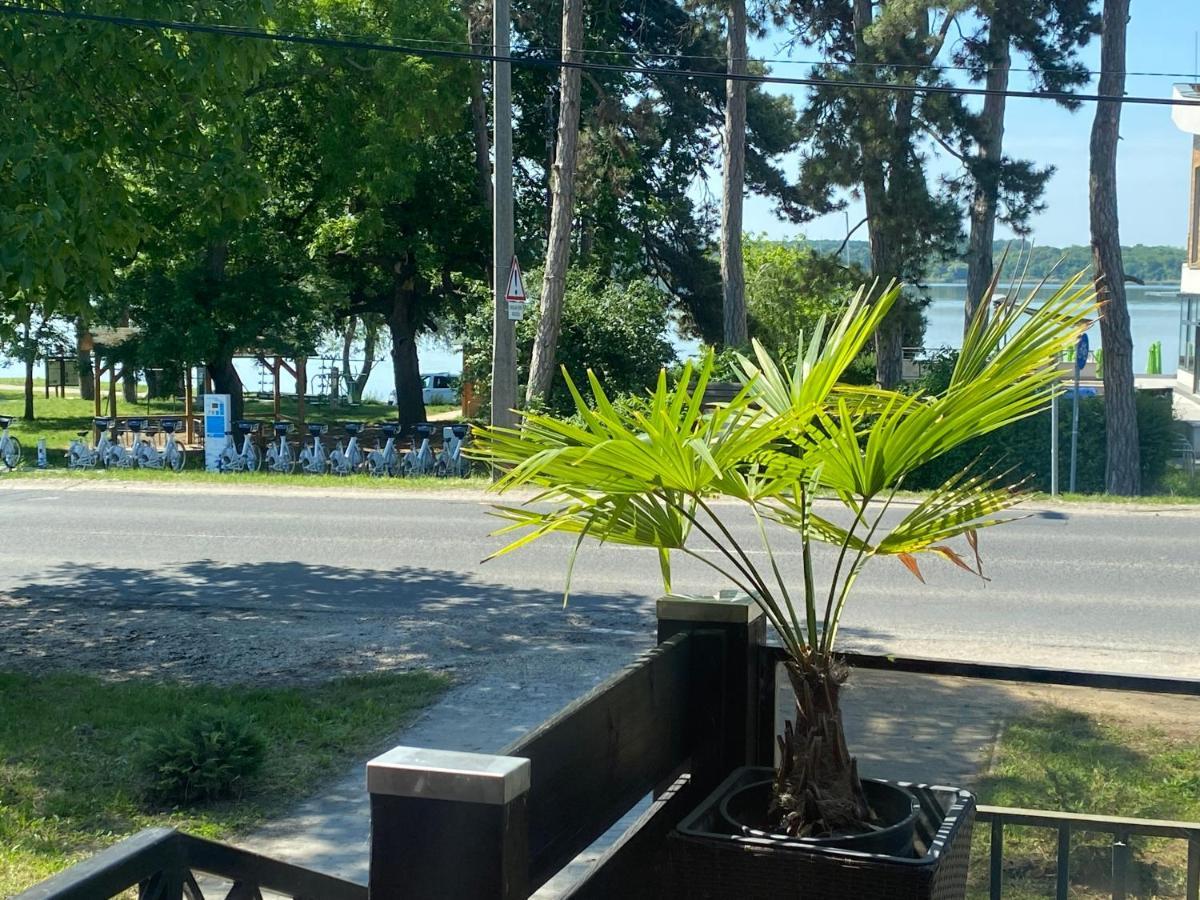 Panzio Tata Bed & Breakfast Dış mekan fotoğraf